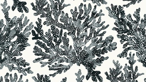 MARINE CORAL T10123